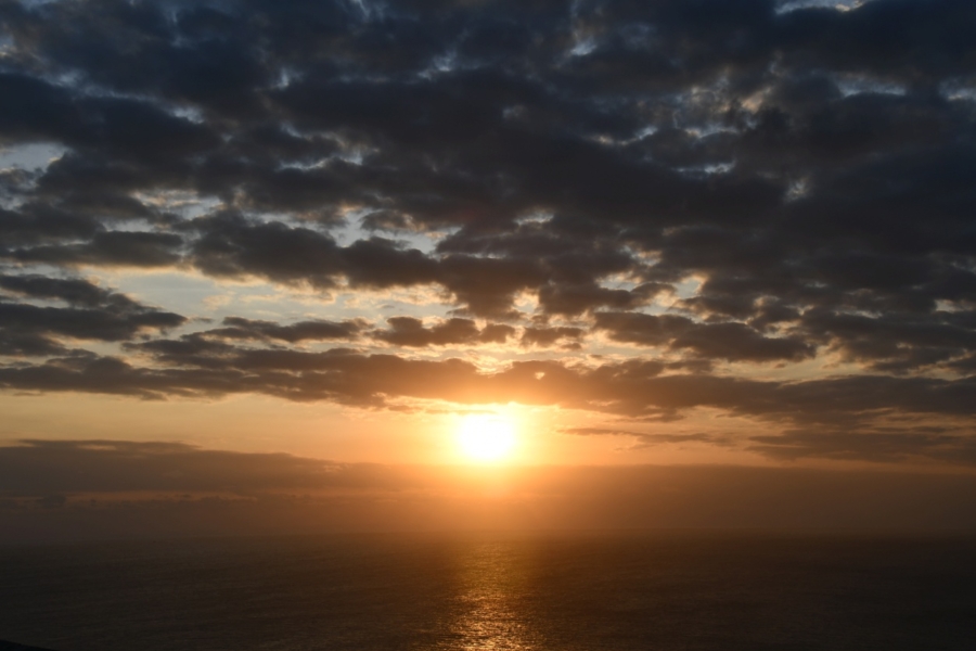 dsc 0310