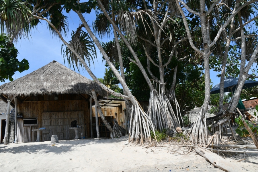 dsc 0595